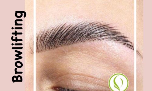 Online Basis Kurs: Lash- & Browlifting