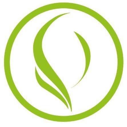 Online Basis Kurs: Browlifting